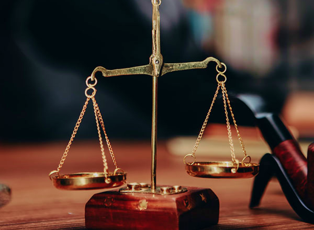 Zipliens case study image